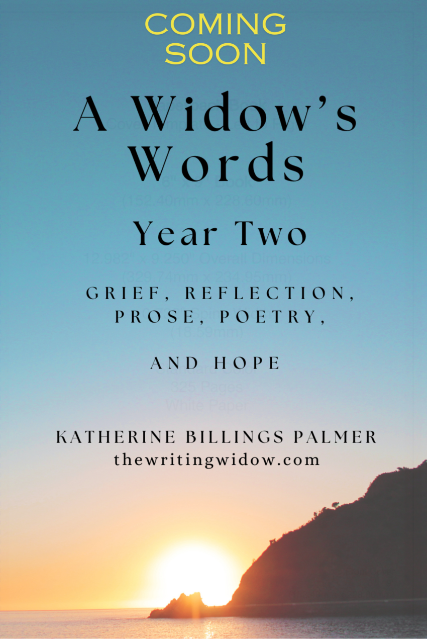 widow's words year two book